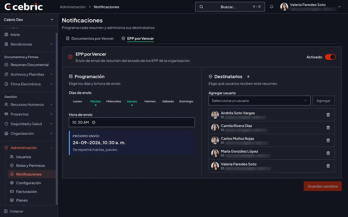 PPE expiry summary settings in dark theme